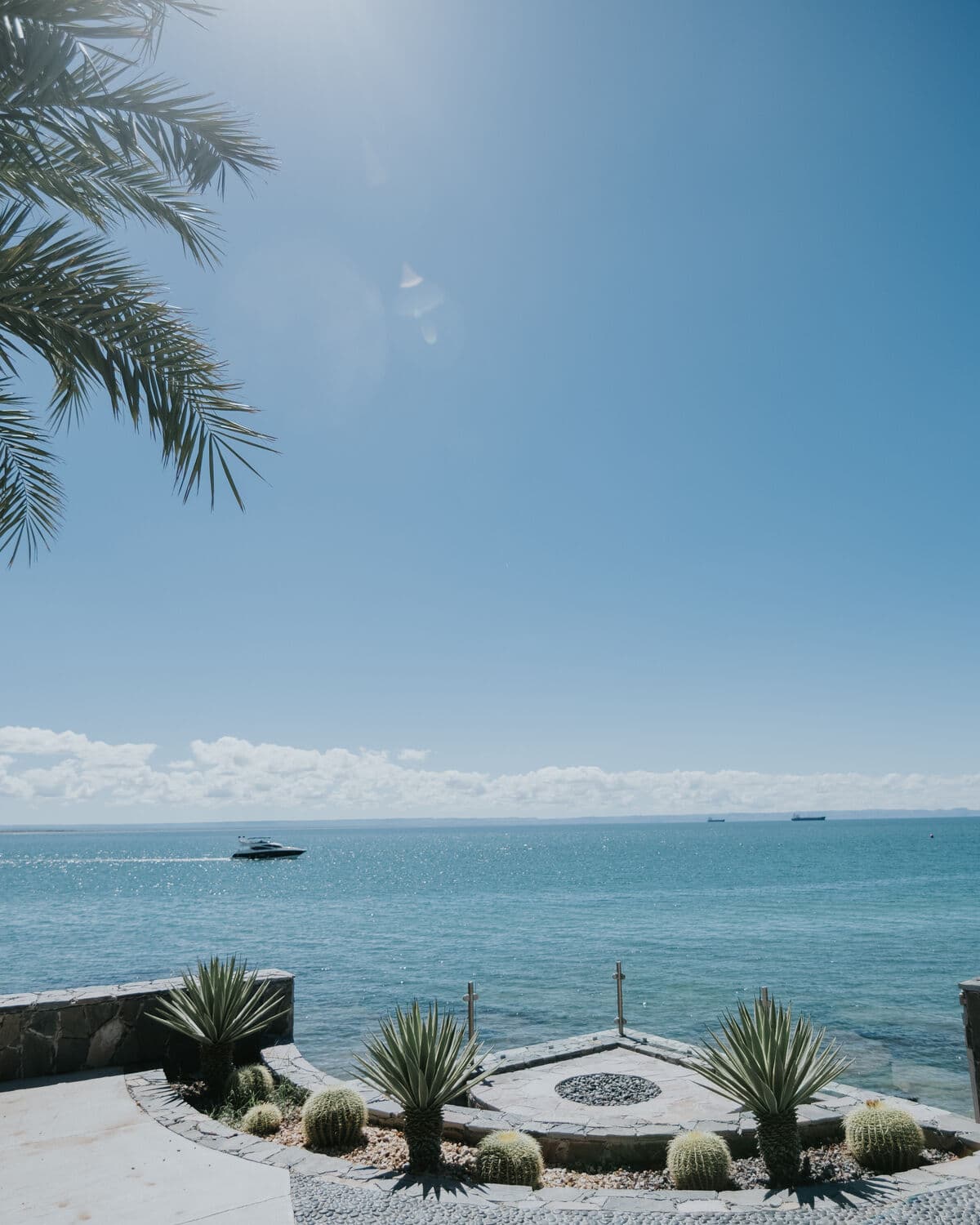 The Sea of Cortez from the Baja house, with a garden of agaves and palms in the foreground