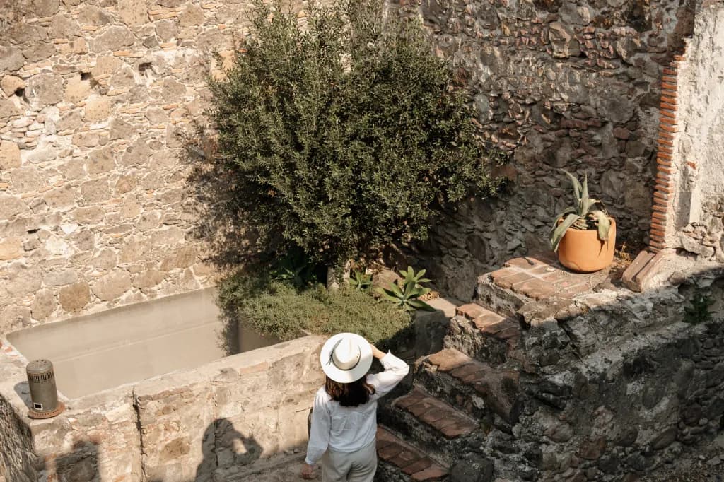 An overhead view of a guest in a hat walking down stone stairs, beside an olive tree and an old cantera stone wall
