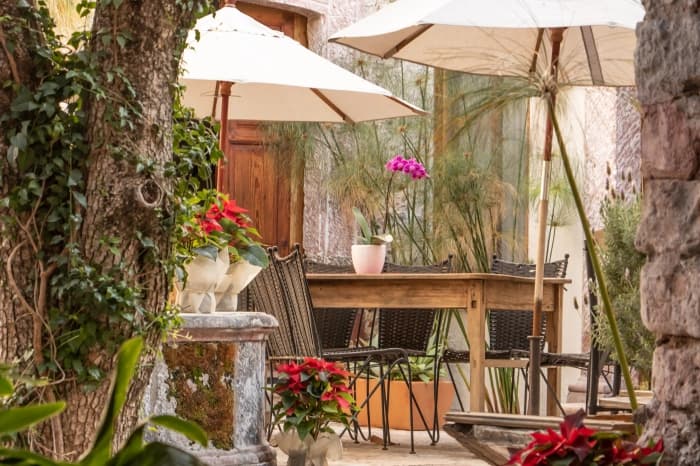 El patio con sombrillas blancas, una mesa de madera con una orquídea y nochebuenas rojas junto al tronco cubierto de hiedra