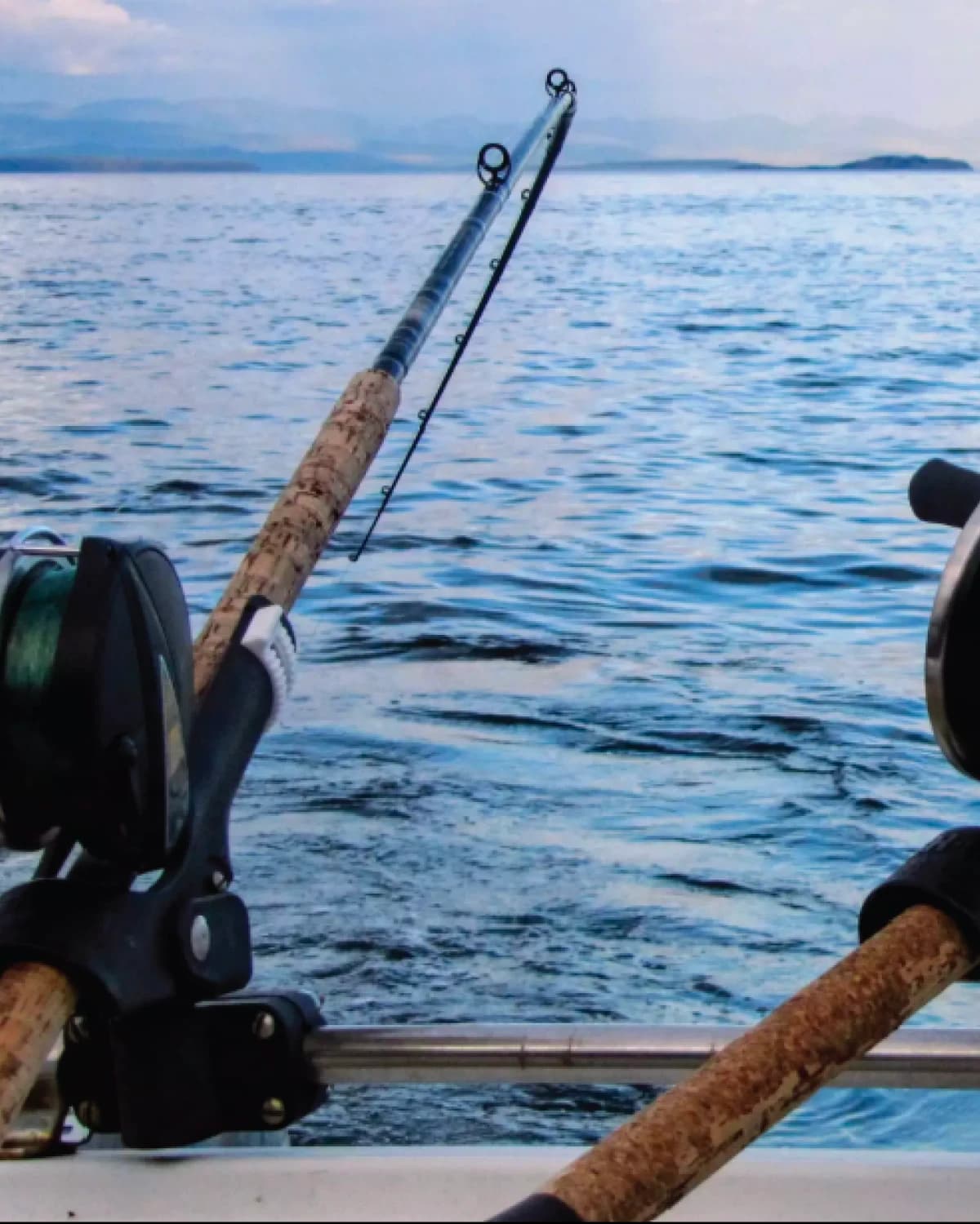 Fishing rods mounted on a boat's rail, with open sea and the mountain range faint on the horizon