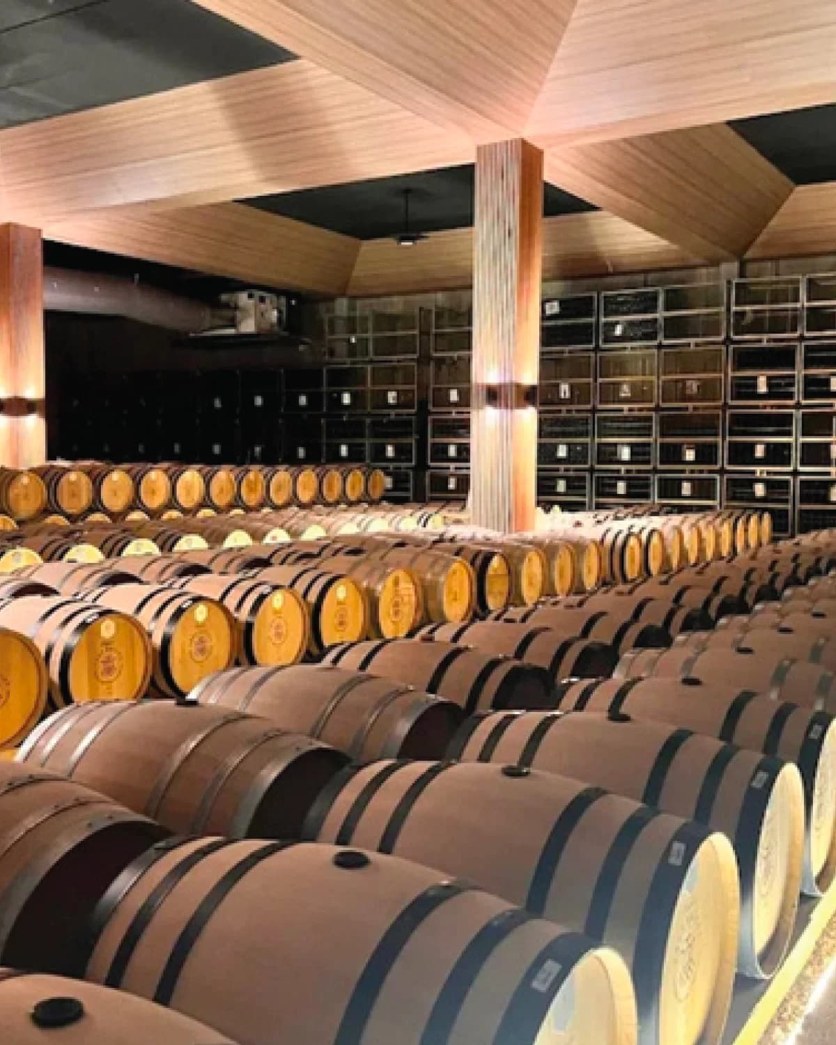 Cellar with rows of oak barrels under a wooden ceiling, and racks of bottles along the back wall