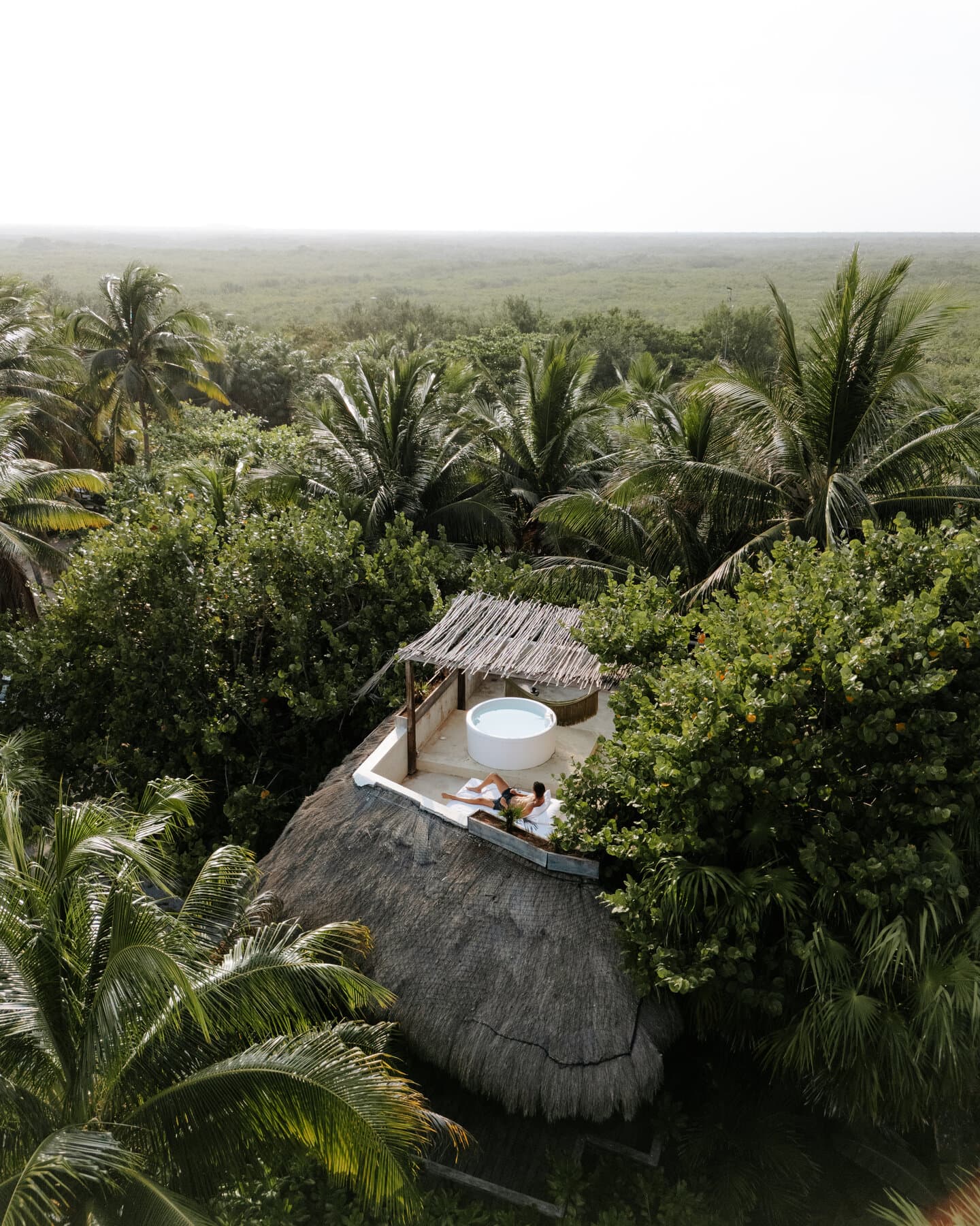 Aerial view of a circular plunge pool on a suite's rooftop, above the tree canopy