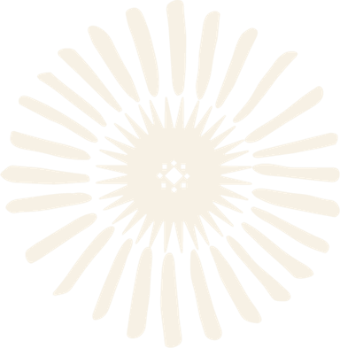 Solaya's radiating rosette mark, the same circular motif from its logotype