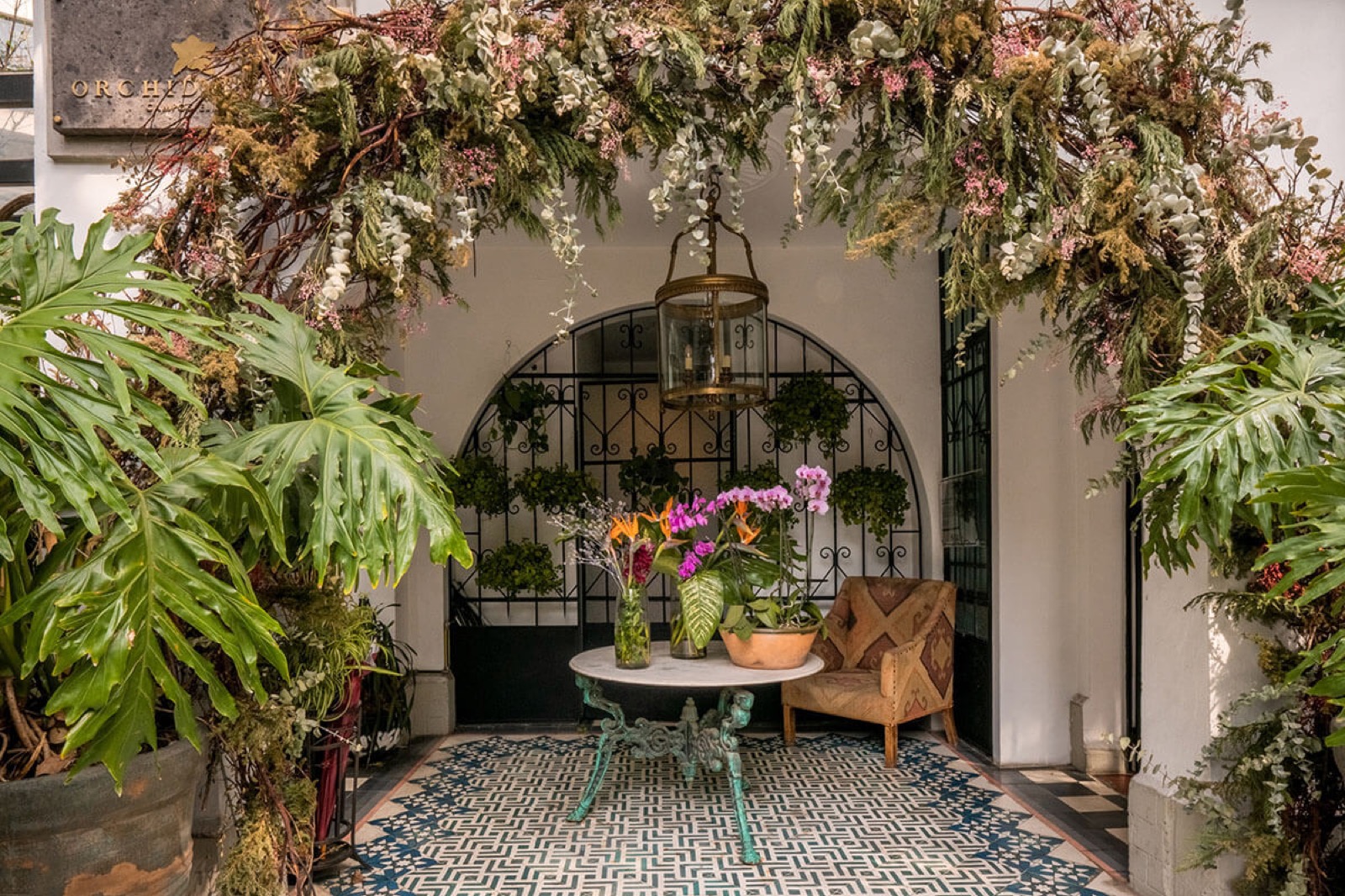 Orchid House Mexico City